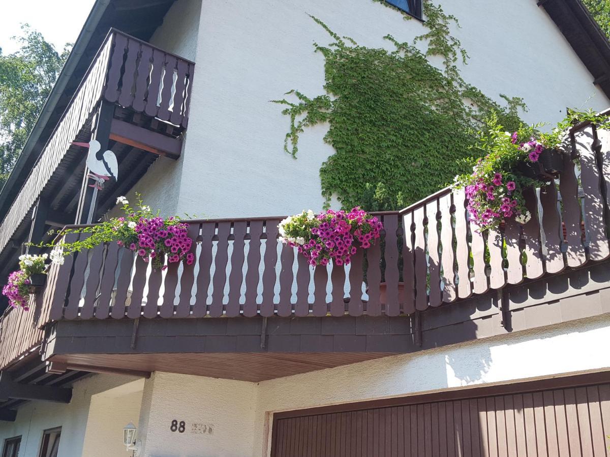 Gaestehaus Gerhardt Schweigen-Rechtenbach Kültér fotó