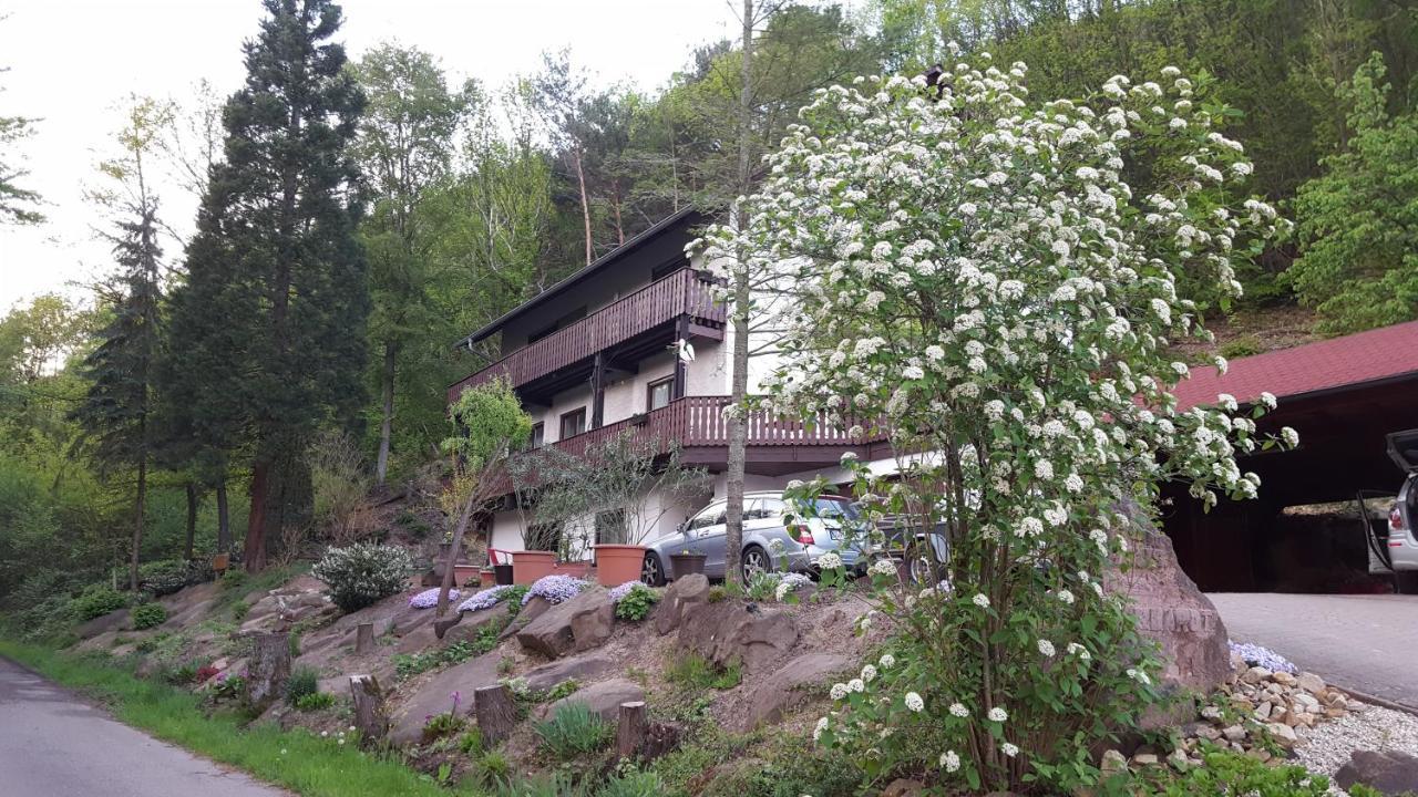 Gaestehaus Gerhardt Schweigen-Rechtenbach Kültér fotó
