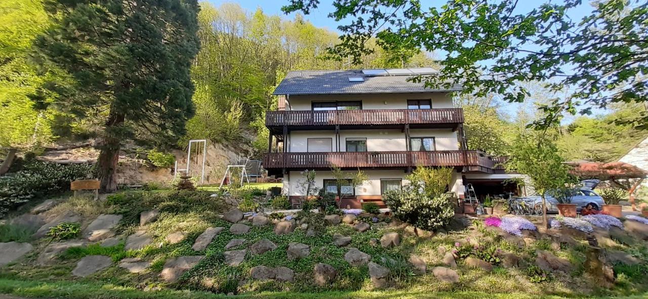 Gaestehaus Gerhardt Schweigen-Rechtenbach Kültér fotó