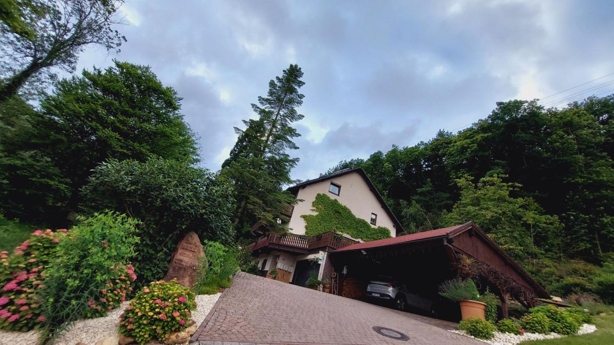 Gaestehaus Gerhardt Schweigen-Rechtenbach Kültér fotó