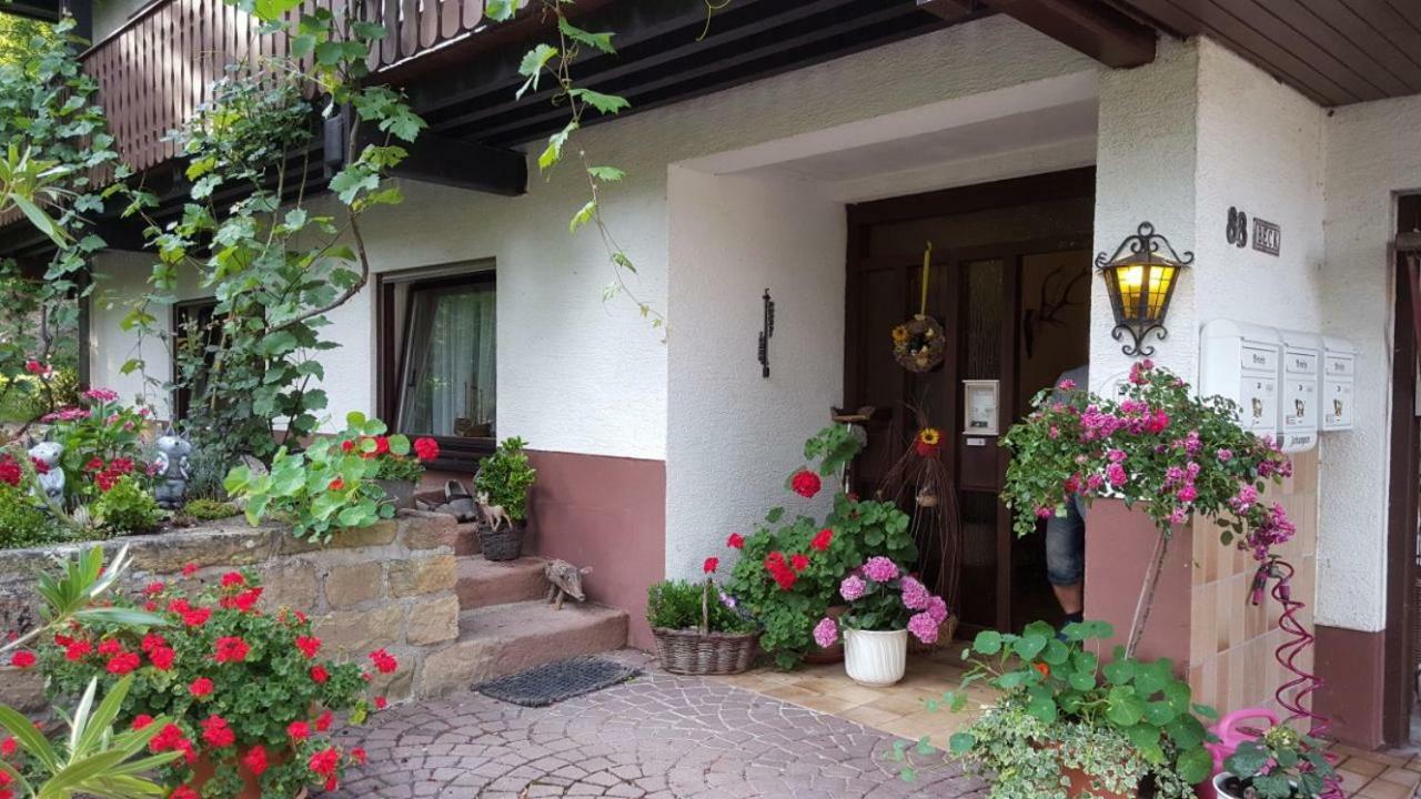 Gaestehaus Gerhardt Schweigen-Rechtenbach Kültér fotó